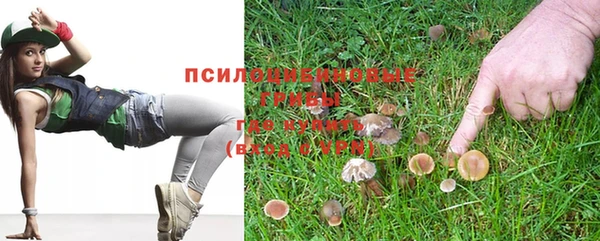 прущая мука Абаза