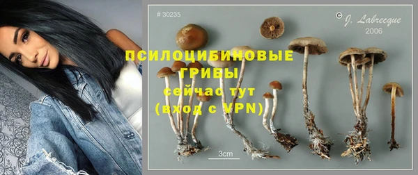 прущая мука Абаза