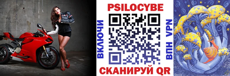 Псилоцибиновые грибы Cubensis  omg ТОР  Новочебоксарск 